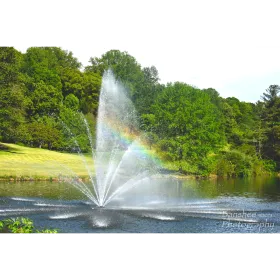 Banshee Photography